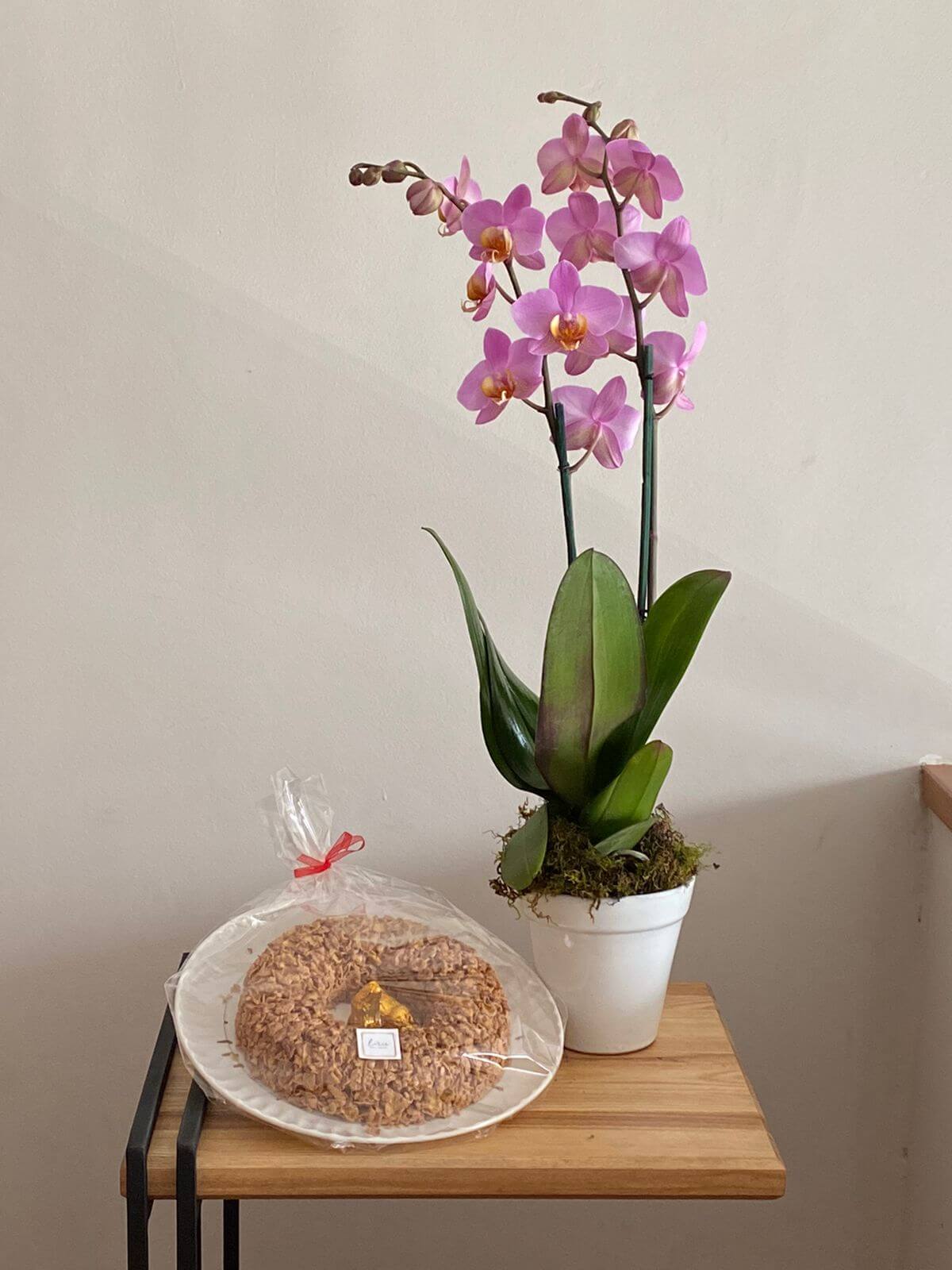 Orquídea con enjambre - The Flower Shop
